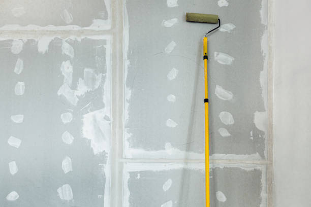 Best Water-Damaged Drywall Repair  in Naranja, FL