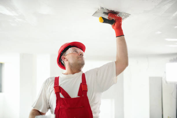 Best Custom Drywall Designs  in Naranja, FL